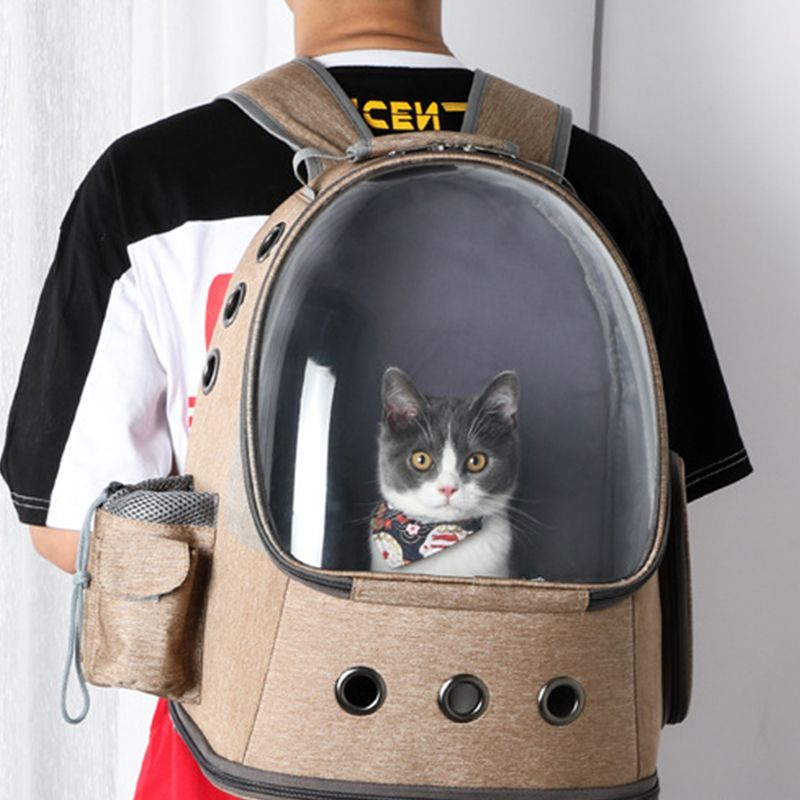 Сумка для кошек, рюкзак для домашних животных, прозрачная и переносная ...