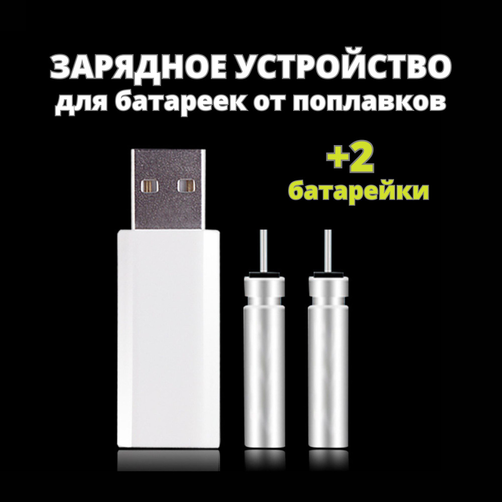 Зарядное устройство Panasonic Basic, 2 / 4 батареи АА или ААА, USB, 10 часов (BQ-CC61USB)