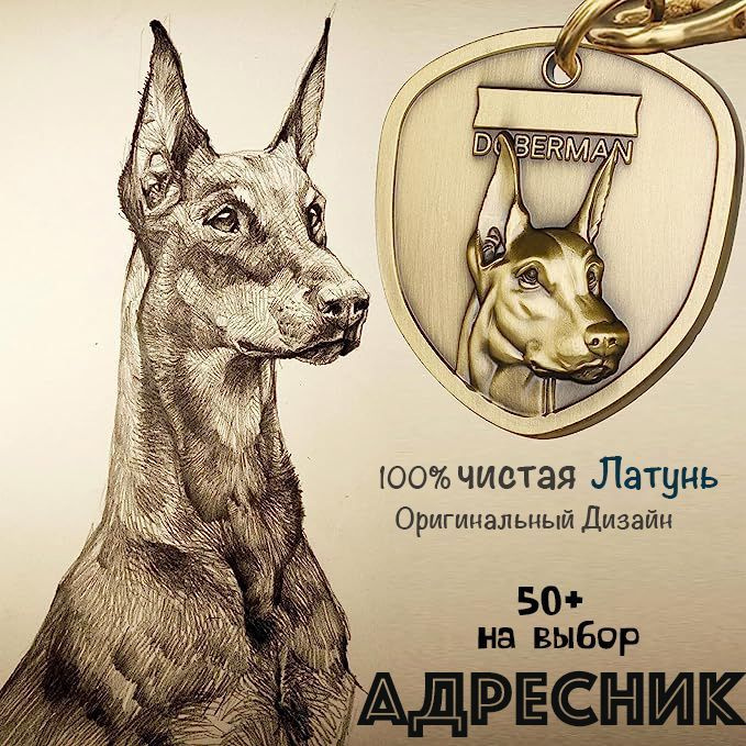 Адресник для собак с пряжкой подковы, из латуни, Большой размер, Форма ...