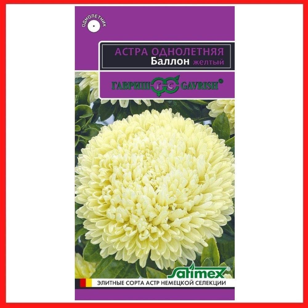 Семена Астра густомахровая "Баллон желтый" 0,05 гр, однолетние цветы для дачи, сада и огорода, клумбы, #1