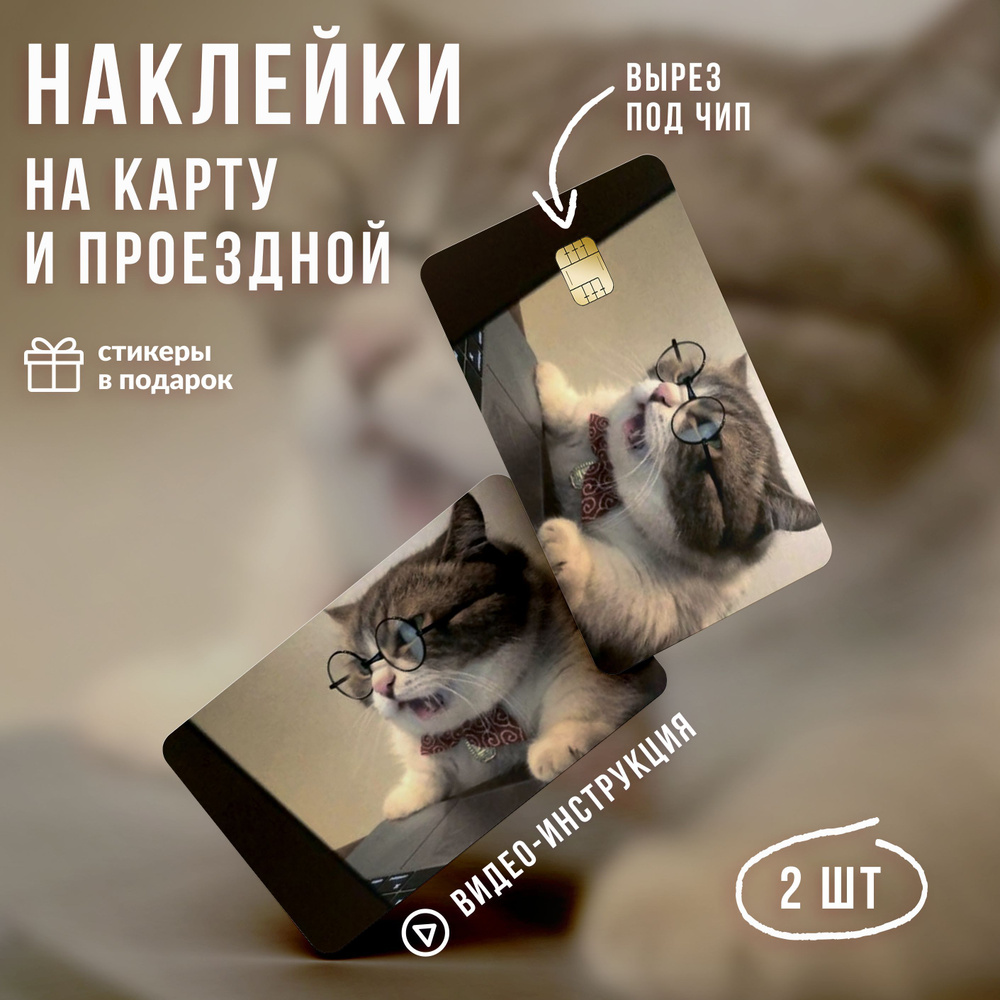 Виниловая наклейка на карту банковскую мем Коты v3 // Наклейки с котиками  #1