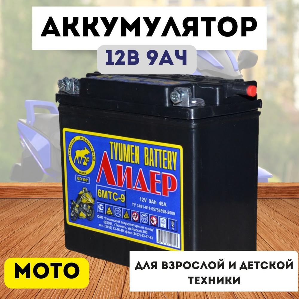 Tyumen Battery Аккумуляторная батарея, 12 В, 9000 мАч, 1 шт