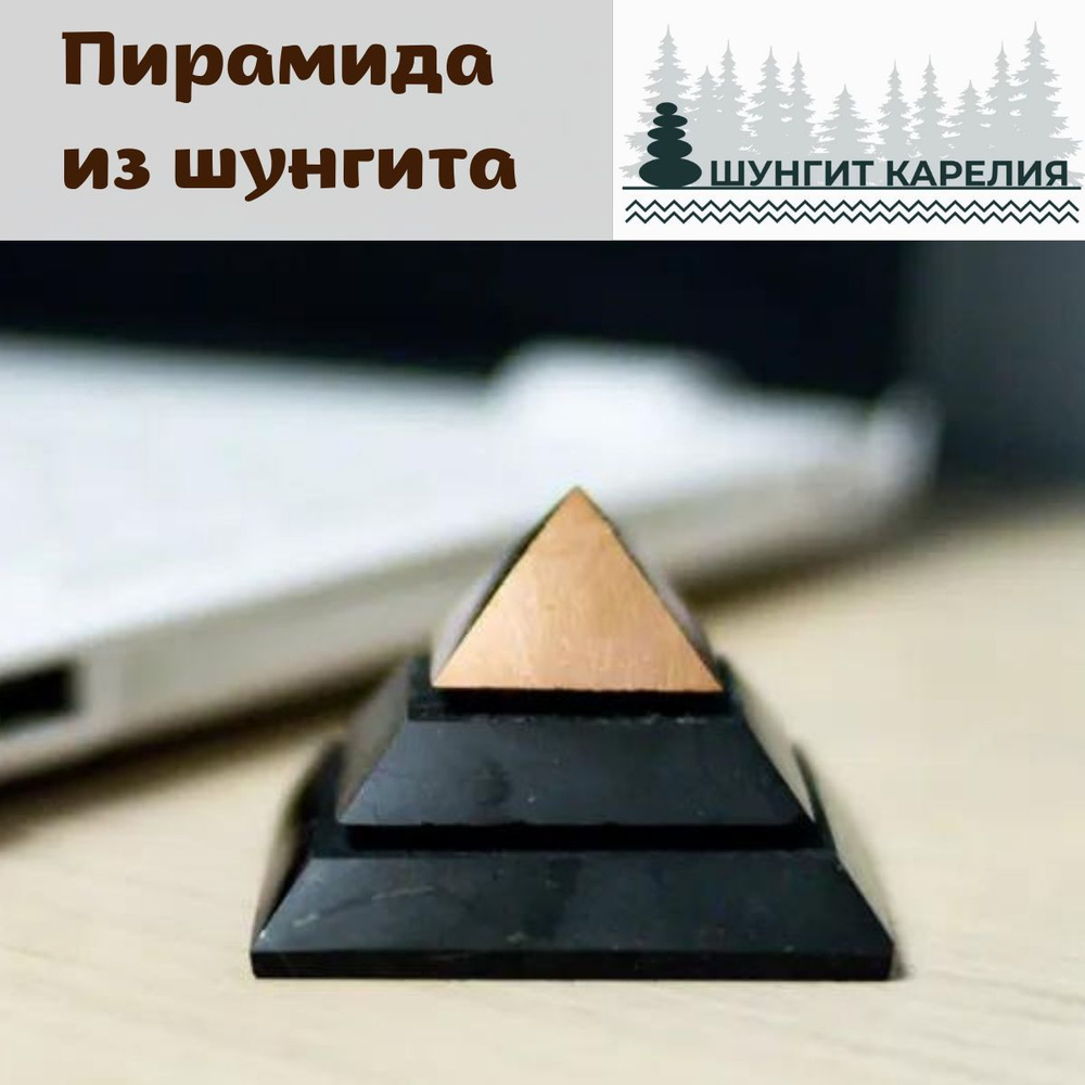 Создатель финансовой пирамиды из Краснодара кинул вкладчиков-пенсионеров на 130 миллионов рублей