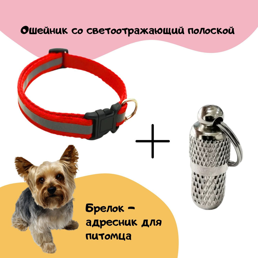 Pet stuff on sale