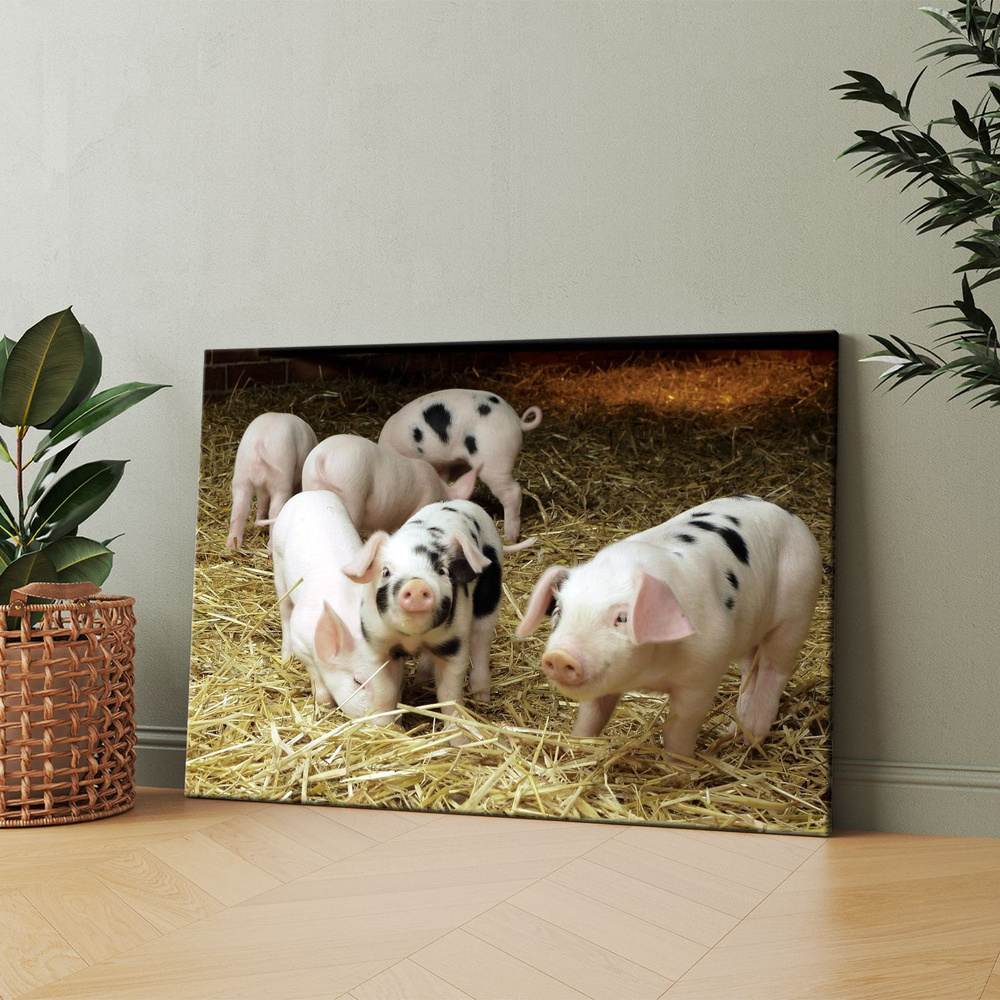 Картина на холсте (Поросята ландрас, маленькие свиньи порода) 20x30 см.  Интерьерная, на стену. - купить по низкой цене в интернет-магазине OZON  (1121927617)