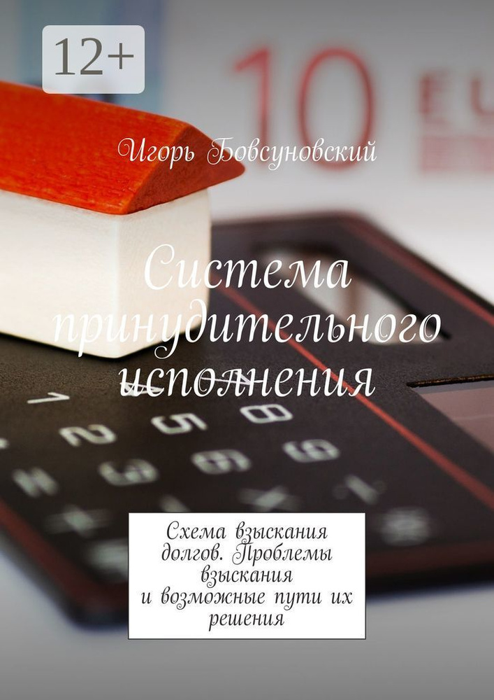 Система принудительного исполнения. Схема взыскания долгов. Проблемы взыскания и возможные пути их решения #1