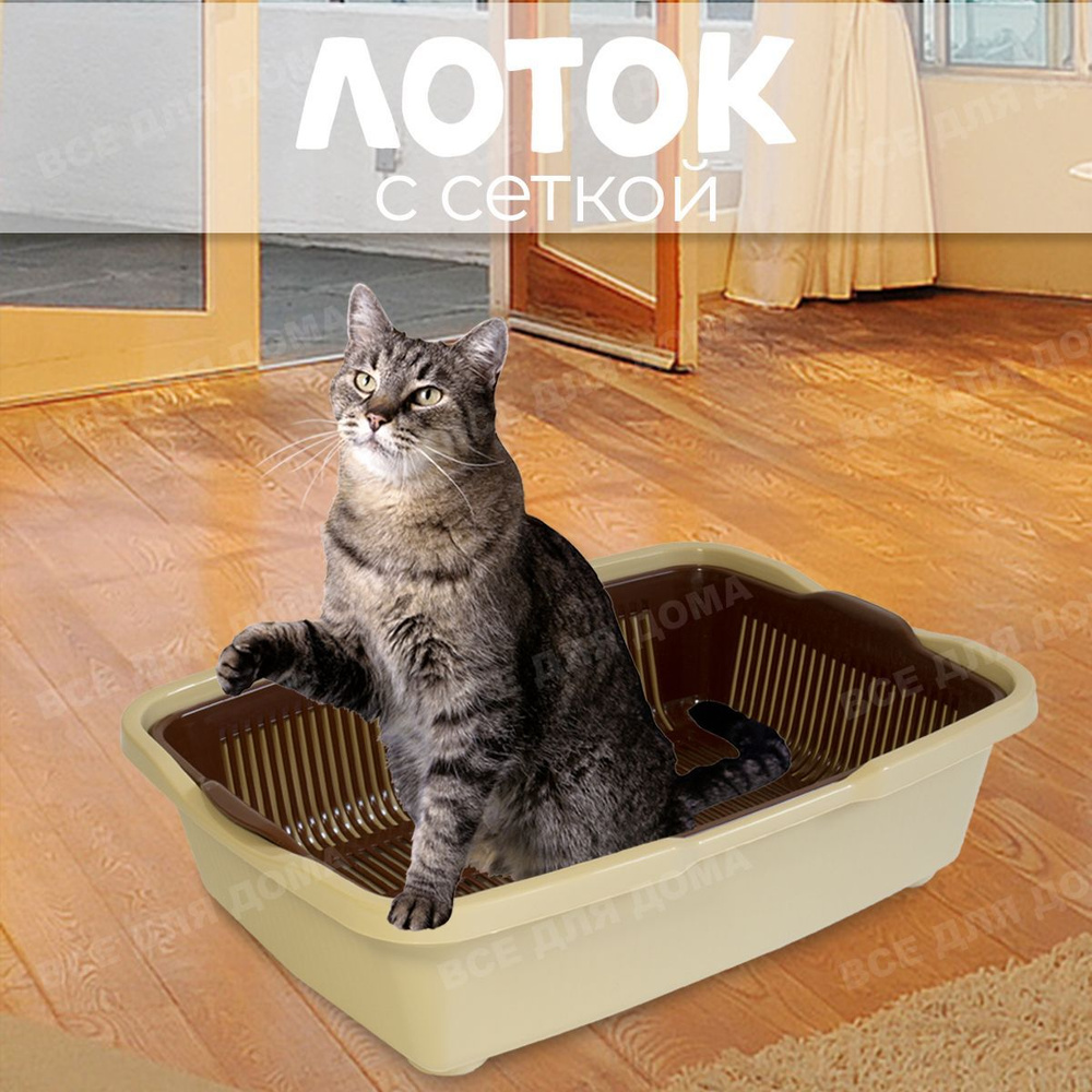ВСЕ ДЛЯ ДОМА / Лоток для котят с сеткой маленький. Туалет лоток для  животных с решеткой, цвет бежево-коричневый, размер 36,5х25,5х9,5 см -  купить с доставкой по выгодным ценам в интернет-магазине OZON (403618449)