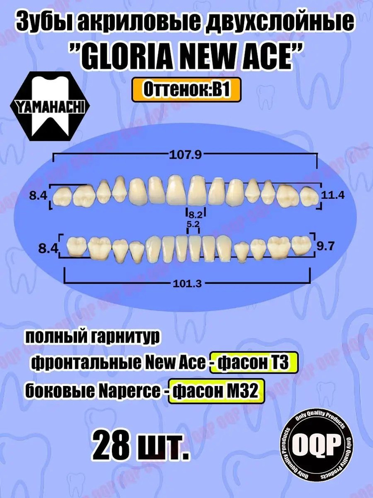 GLORIA NEW ACE зубы акриловые, полный гарнитур: фронтальные New Ace ...