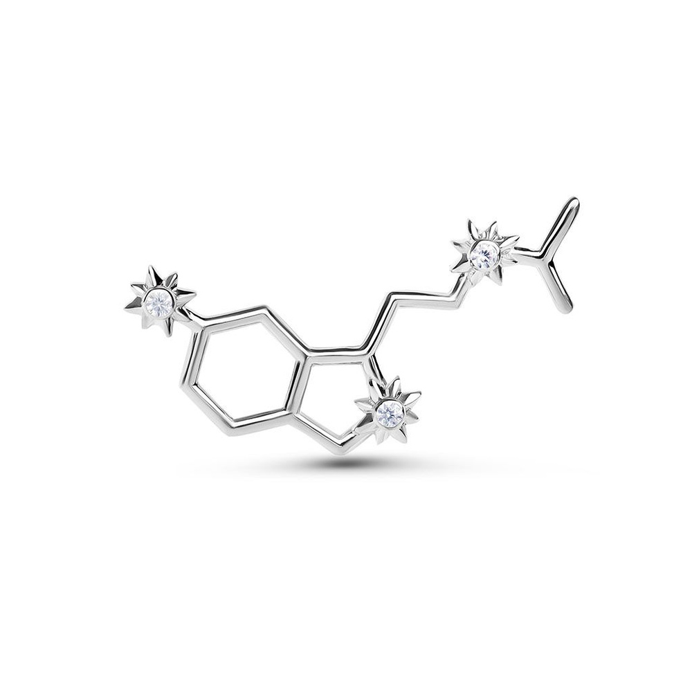 Брошь "Мелатонин" серебро 925. Подарок молекулы . - купить с доставкой ...