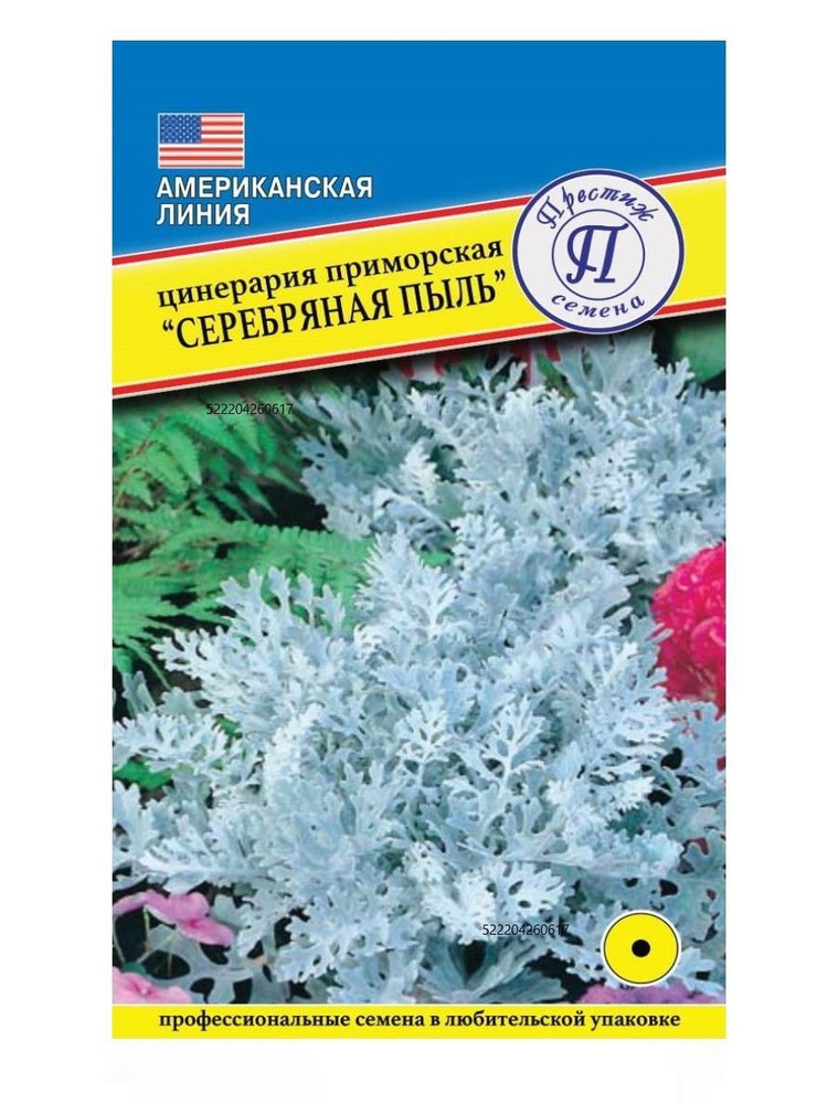 Цинерария "СЕРЕБРЯННАЯ ПЫЛЬ" (100 шт семян) семена цветов и декоративных растений  #1