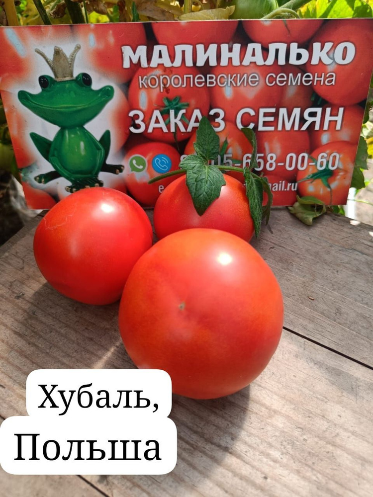 Семена #1