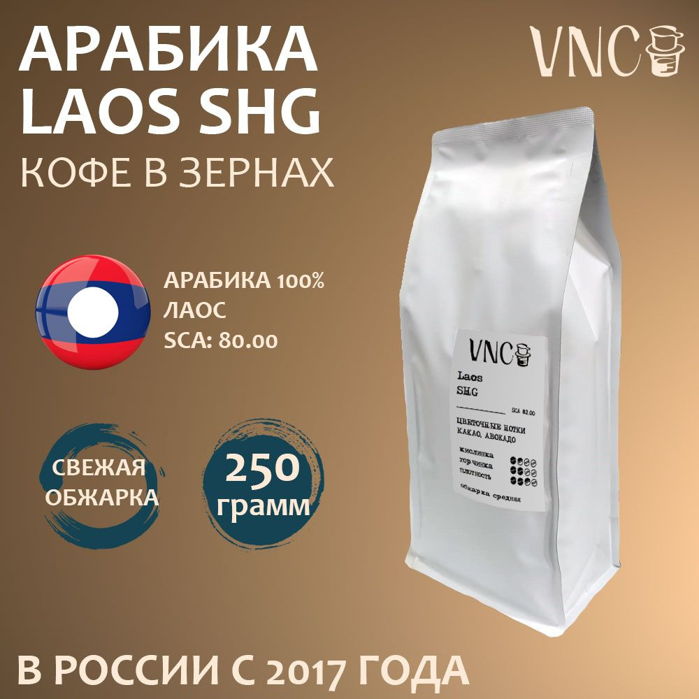 Кофе в зернах "Laos SHG", Лаос, арабика, 250 г, свежая обжарка #1