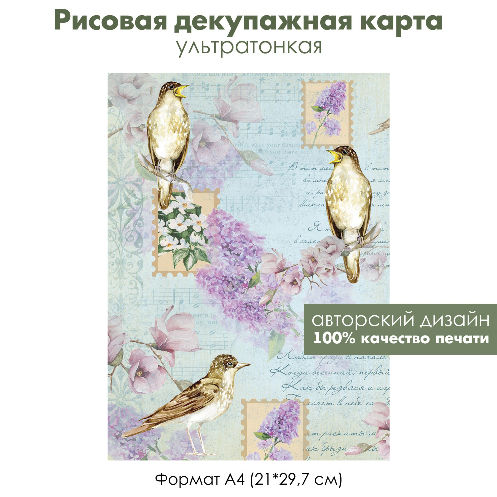 Декупажная рисовая карта Птицы, формат А4, ультратонкая бумага для декупажа  - купить с доставкой по выгодным ценам в интернет-магазине OZON (1271599972)