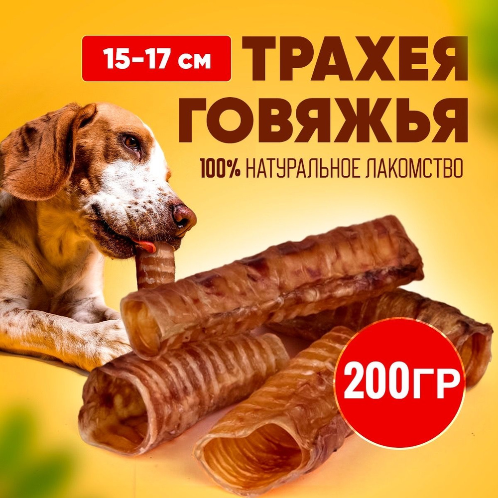 Трахея говяжья Труба , 200гр, крупная, для мелких, средних и крупных ...