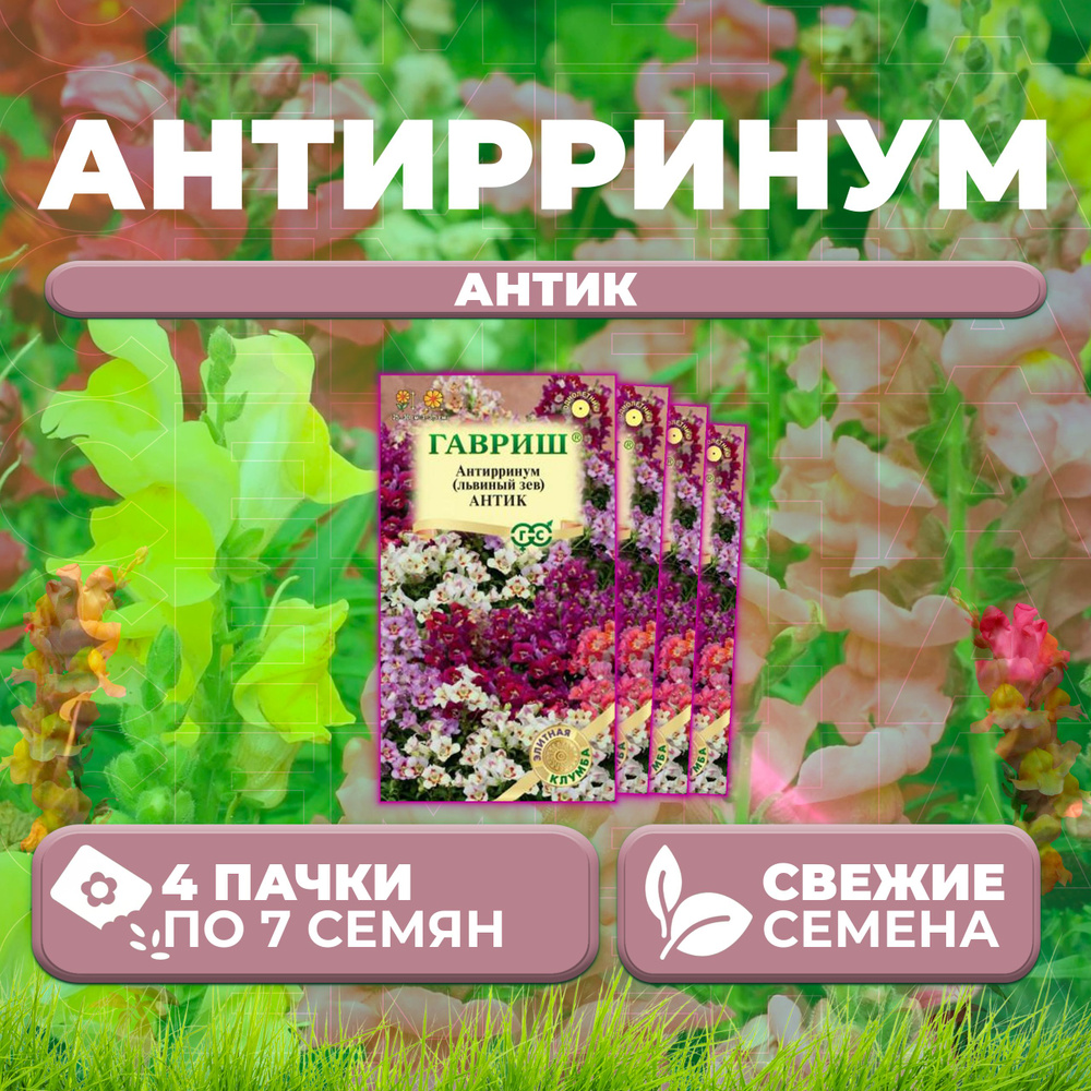 Антирринум (Львиный зев) Антик, смесь, 7шт, Гавриш, Элитная клумба (4 уп)  #1