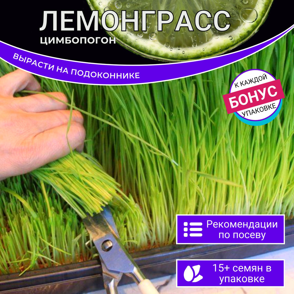 Лемонграсс Цимбопогон Вырасти на Подоконнике семена 15 шт + Бонус + Рекомендации по проращиванию БЕСПЛАТНО #1
