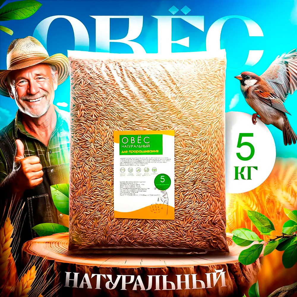 Овес 5кг в оболочке для проращивания, микрозелени, для заваривания ...