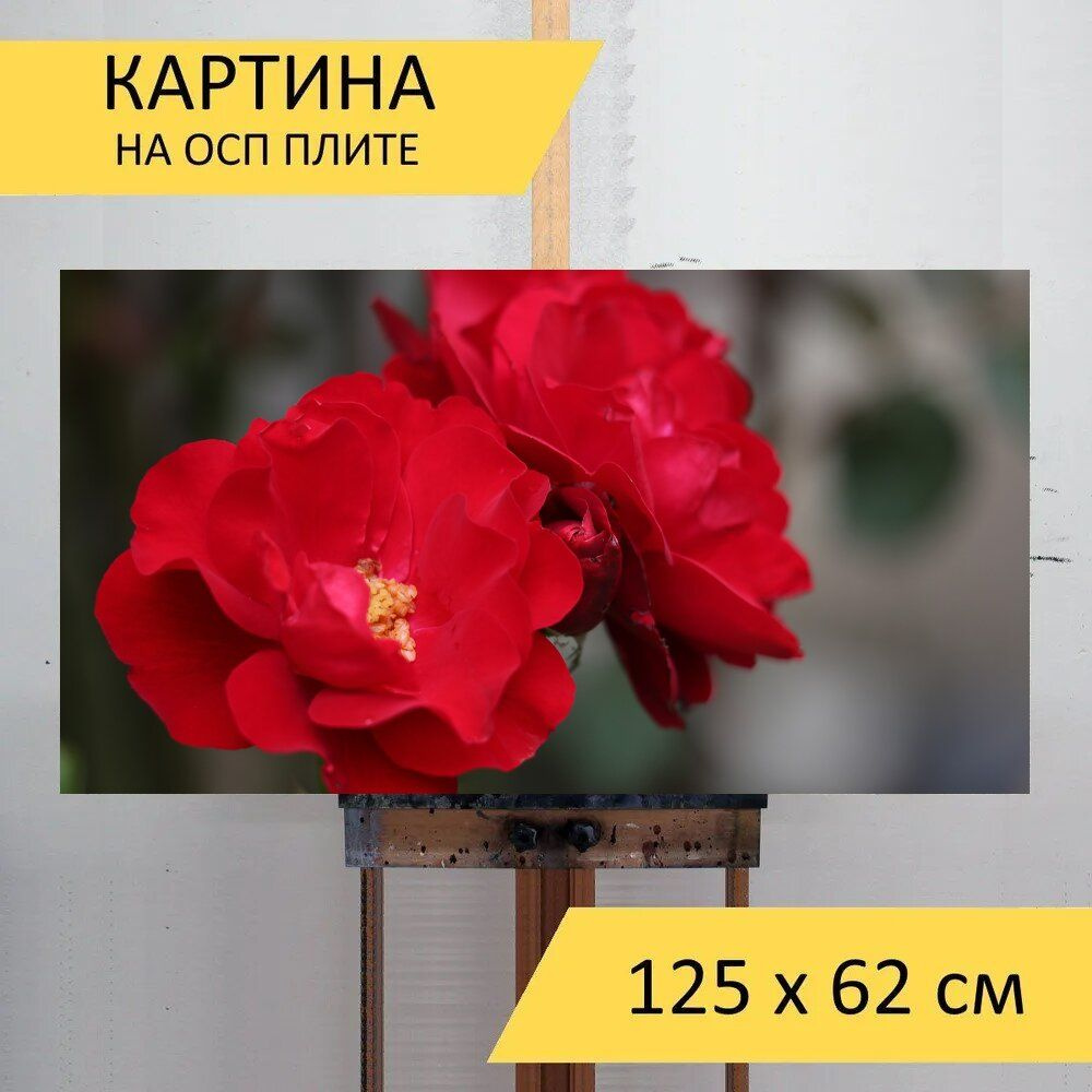 Красная картина 