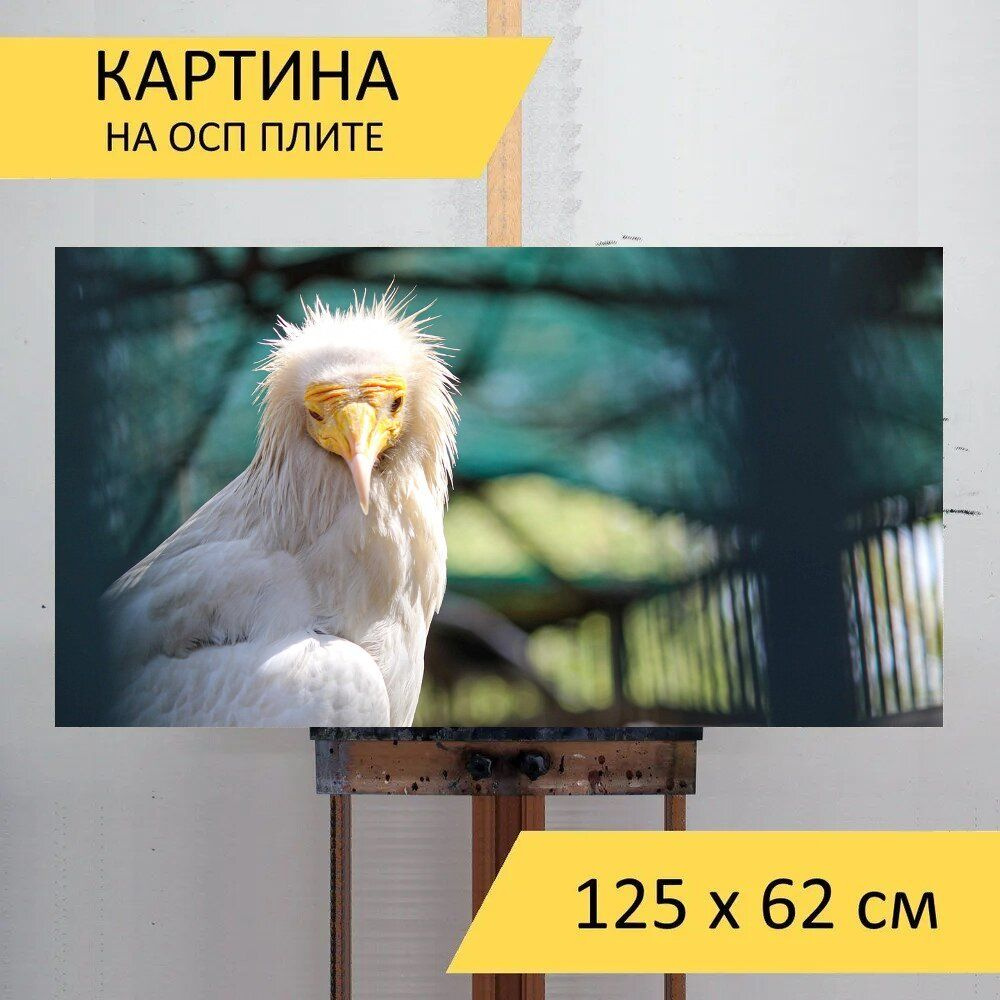 Картина животных 