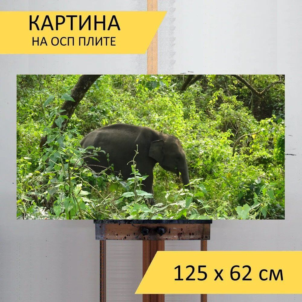 LotsPrints Картина "Слон, дикая природа, животное 29", 125 х 62 см  #1