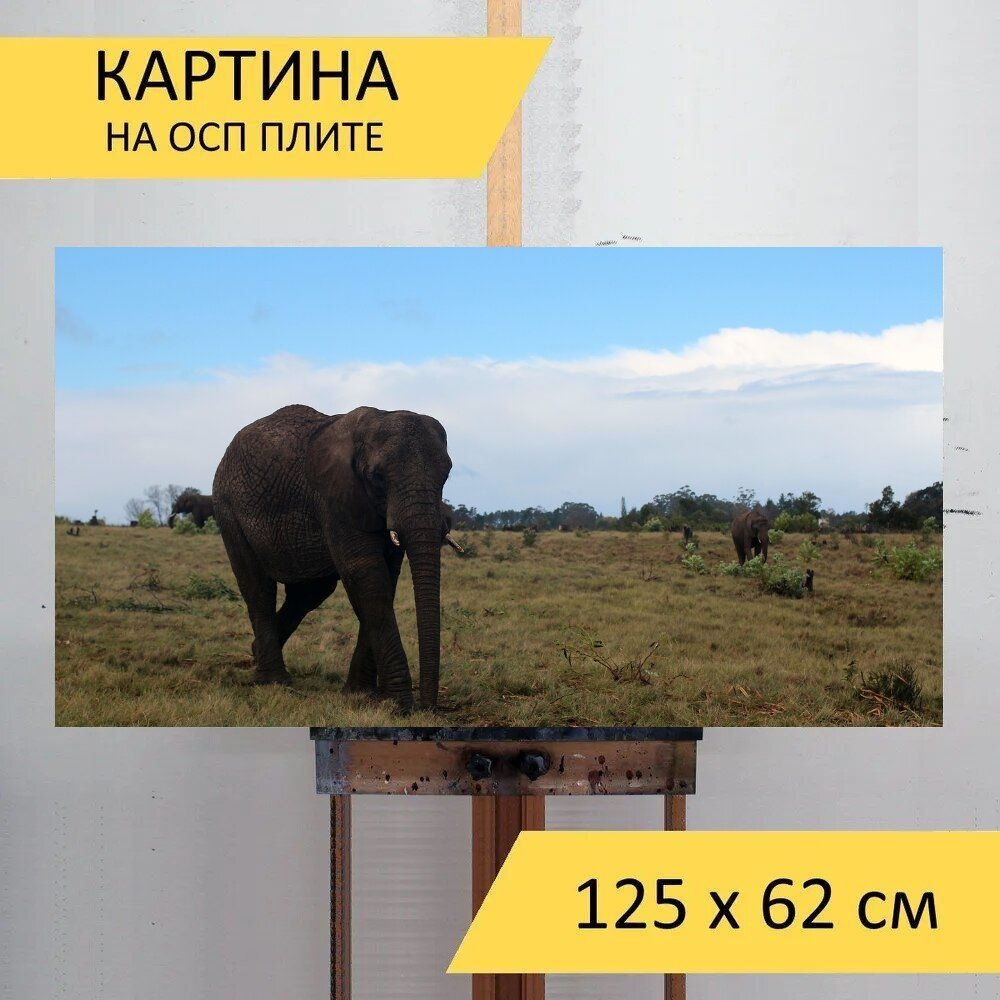 LotsPrints Картина "Слон, толстокожий, африке 27", 125  х 62 см #1