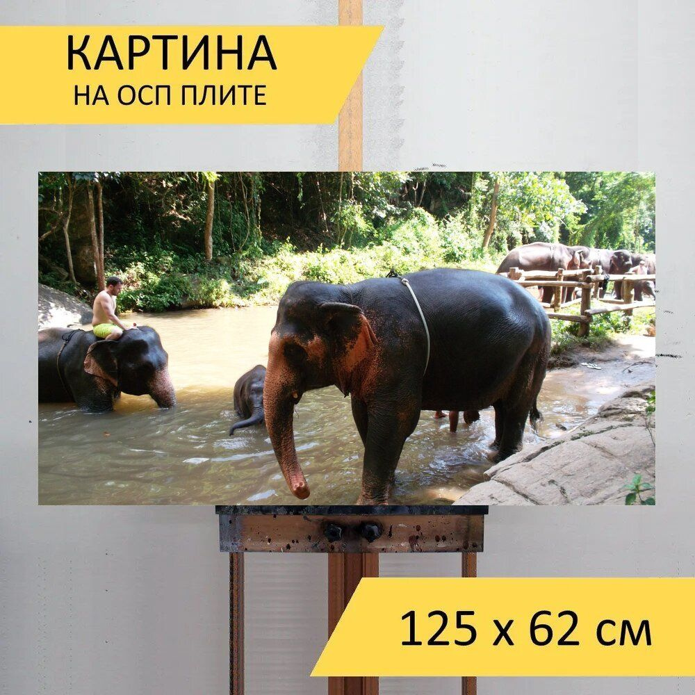 LotsPrints Картина "Слон, тайский слон, животное 59", 125  х 62 см #1
