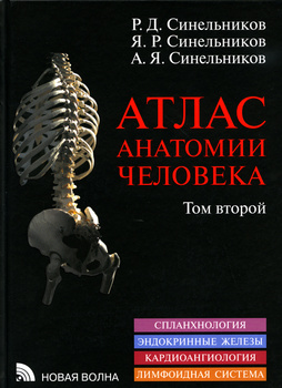 Раскраски для мальчиков бесплатно Скелет человека