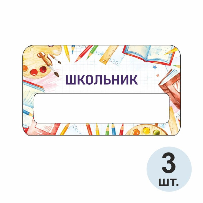 Бейдж "Школьник" 70х40 мм 3 шт. Бейджик магнитный / пластиковый ...