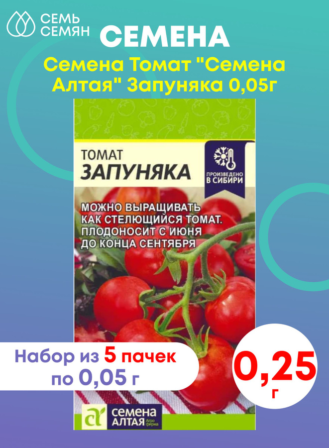запуняка томат описание. томаты запуняко описание. томат запуняка семена алтая. томат феня семена алтая. томаты запуняко описание.