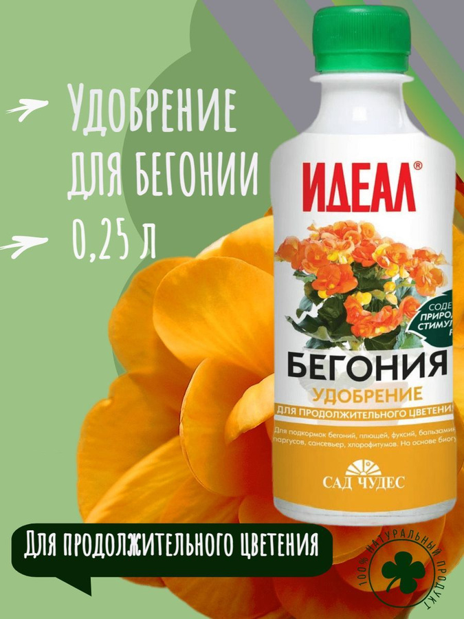Подкормка бегонии. Жидкие удобрения. Подкормка бегоний. Подкормка бегоний. Подкормка бегонии.