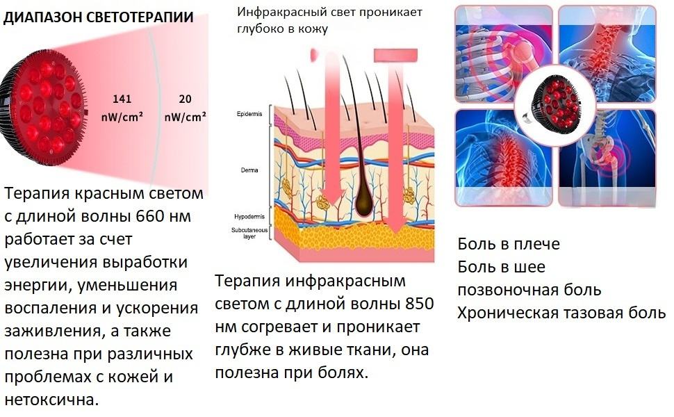 Текстовое описание изображения