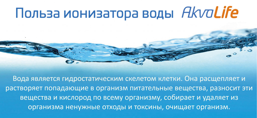 Текстовое описание изображения