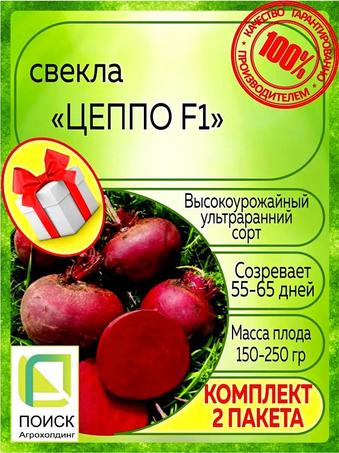 Хотите выращивать самую вкусную и качественную свеклу на своем участке? Тогда семена свеклы Цеппо F1 от профессиональных семенных поставщиков Поиск - идеальный выбор для вас!  Семена свеклы Цеппо F1 - это гибрид столовой свеклы, который отличается высокой урожайностью, прекрасным вкусом и устойчивостью к болезням. Благодаря своей односемянной форме, каждое растение развивается сильным и здоровым, обеспечивая вам крупные и сочные корнеплоды.  Русская столовая свекла - это неотъемлемая часть нашей кухни. Используйте свеклу Цеппо F1 для приготовления вкусного и ароматного русского борща. Эти семена специально подобраны для получения насыщенного красного цвета и нежного вкуса ваших борщей.  Но не только столовую свеклу можно вырастить с помощью наших семян. Если вы занимаетесь животноводством, то вам пригодятся семена кормовой свеклы одноростковые. Они обладают высокой питательностью и отлично подходят для кормления скота.  А если вы хотите получить урожай свеклы в следующем году, то обратите внимание на семена свеклы озимой. Этот сорт отличается повышенной морозоустойчивостью и может быть посажен в осенний период.  Мы также предлагаем вам набор семян свеклы, который включает в себя разные сорта и гибриды. Это отличный выбор для тех, кто хочет попробовать разные вкусы и получить разнообразный урожай.  Семена свеклы Цеппо F1 также доступны в бордовом цвете. Свекла бордовая - это не только красиво, но и полезно. Благодаря высокому содержанию антиоксидантов, она является ценным продуктом для поддержания здоровья.  Не упустите возможность вырастить вкусную и полезную свеклу на своем участке! Закажите семена свеклы Цеппо F1 уже сегодня и наслаждайтесь богатым урожаем!