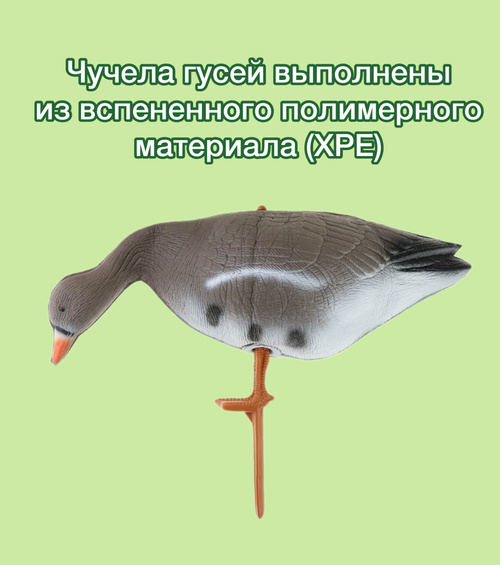 Набор муляжей охотничьих птиц FUD White Fronted Goose белолобый, 6 штук | Скидка руб.