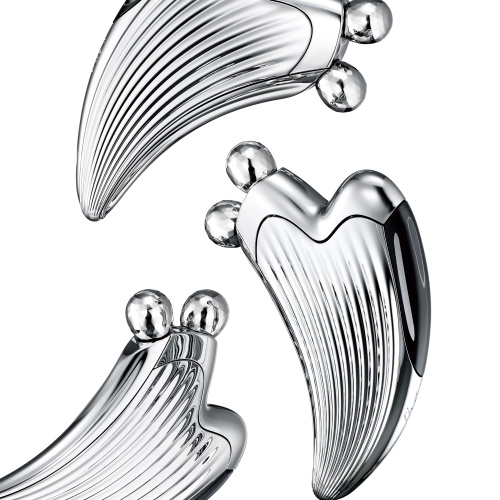 Микротоковый массажер для лица ReFa Caxa Ray, массажный роллер с