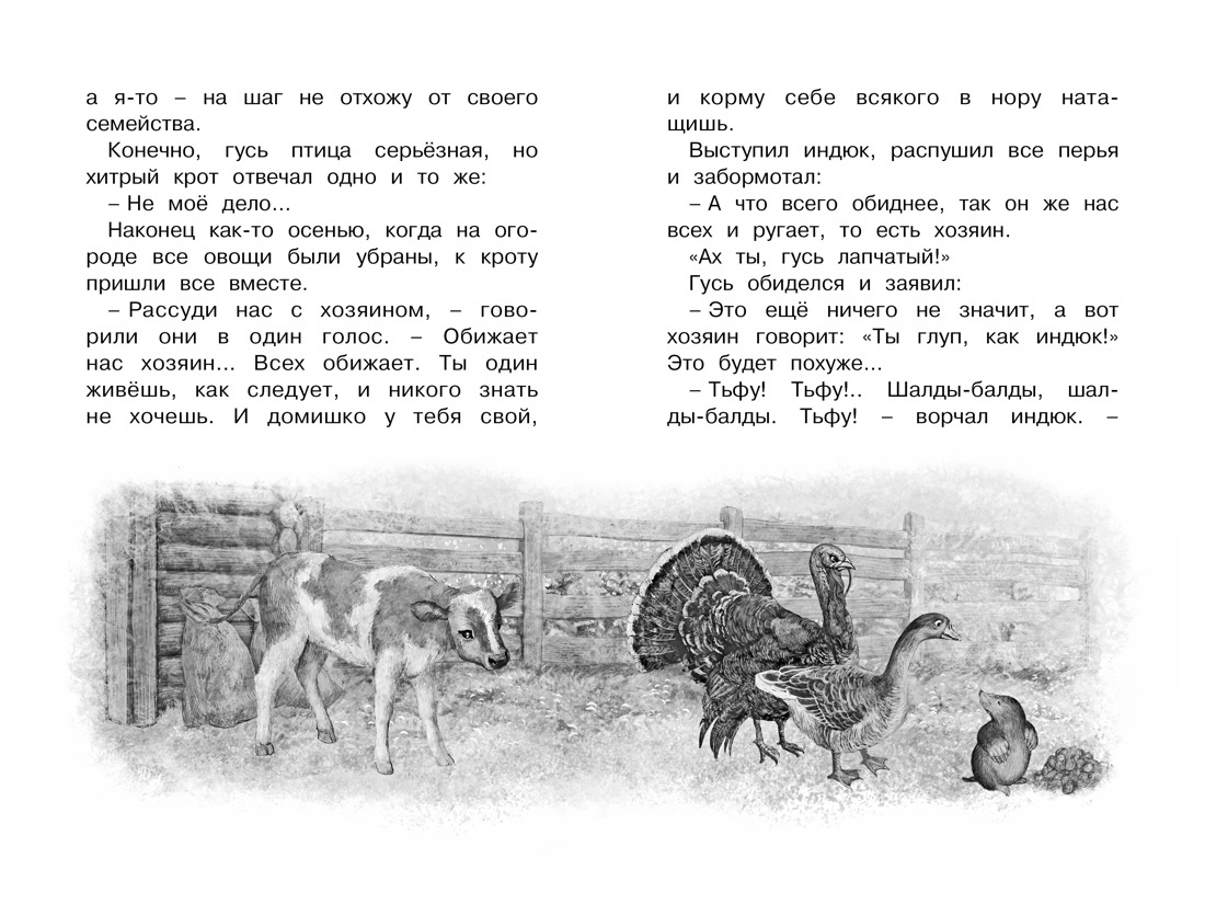 Серая Шейка | Gray Neck - Ozon image 7