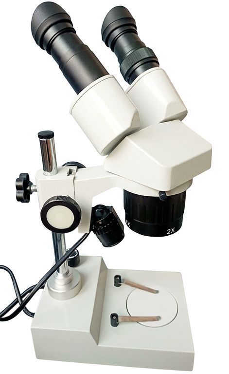 микроскоп 40 крат. микроскоп 40х-1600х. левенгук микроскопы 40 л. микроскоп 40-1280. микроскоп carson.