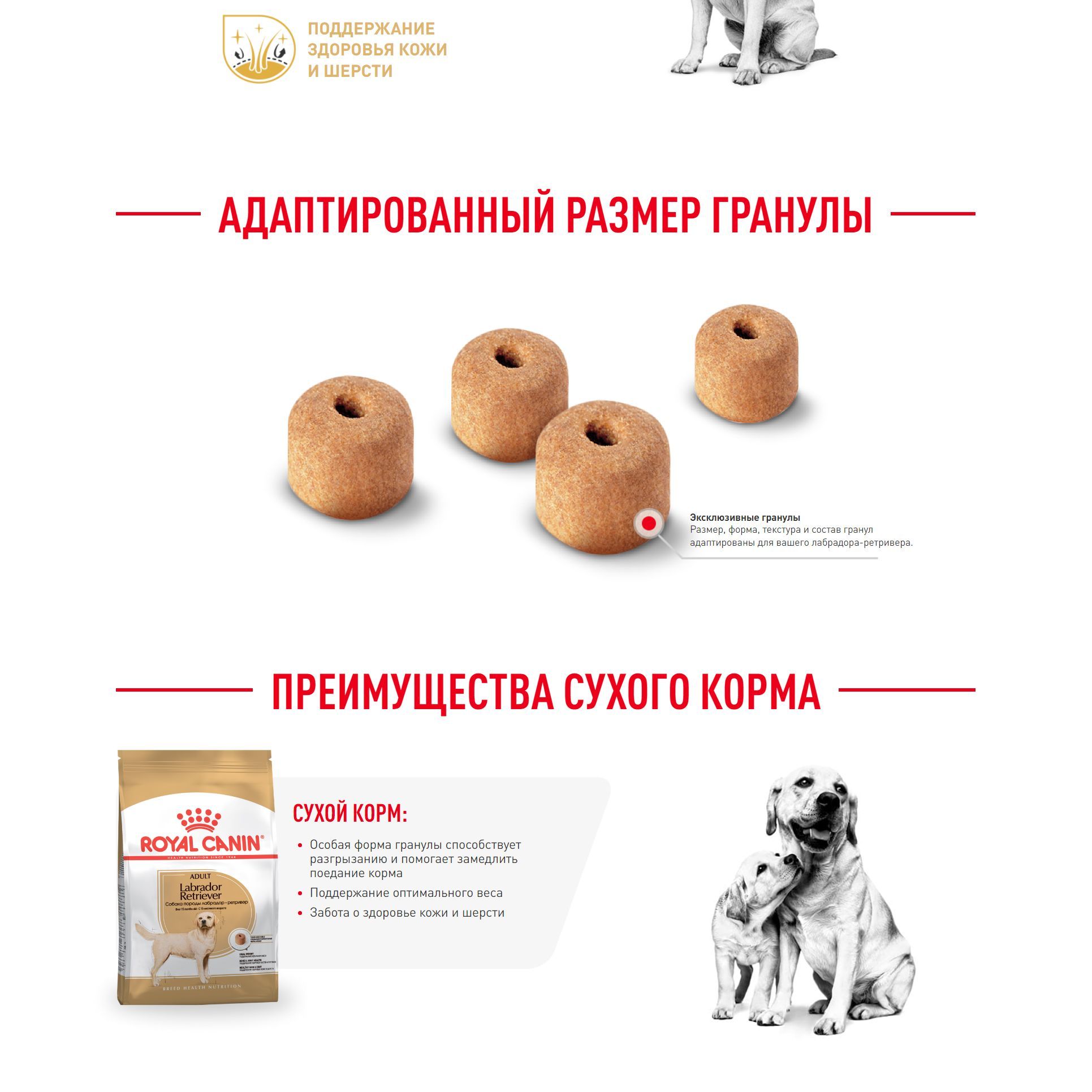 Royal Canin Labrador Retriever (Роял Канин Эдалт со вкусом птицы) корм ...