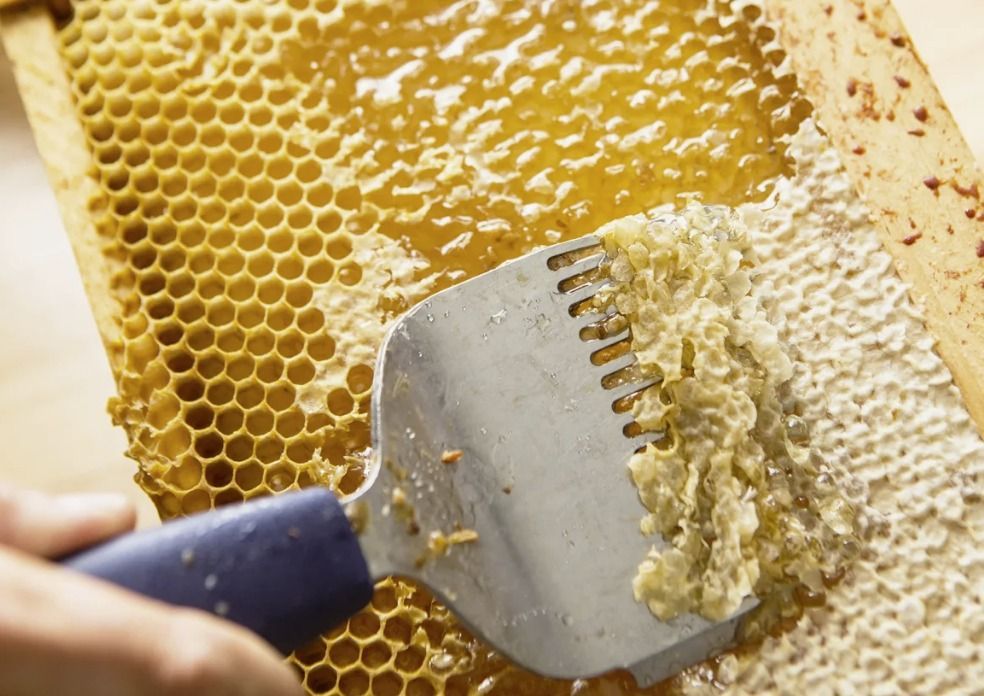 человек жует забрус в осеннем парке