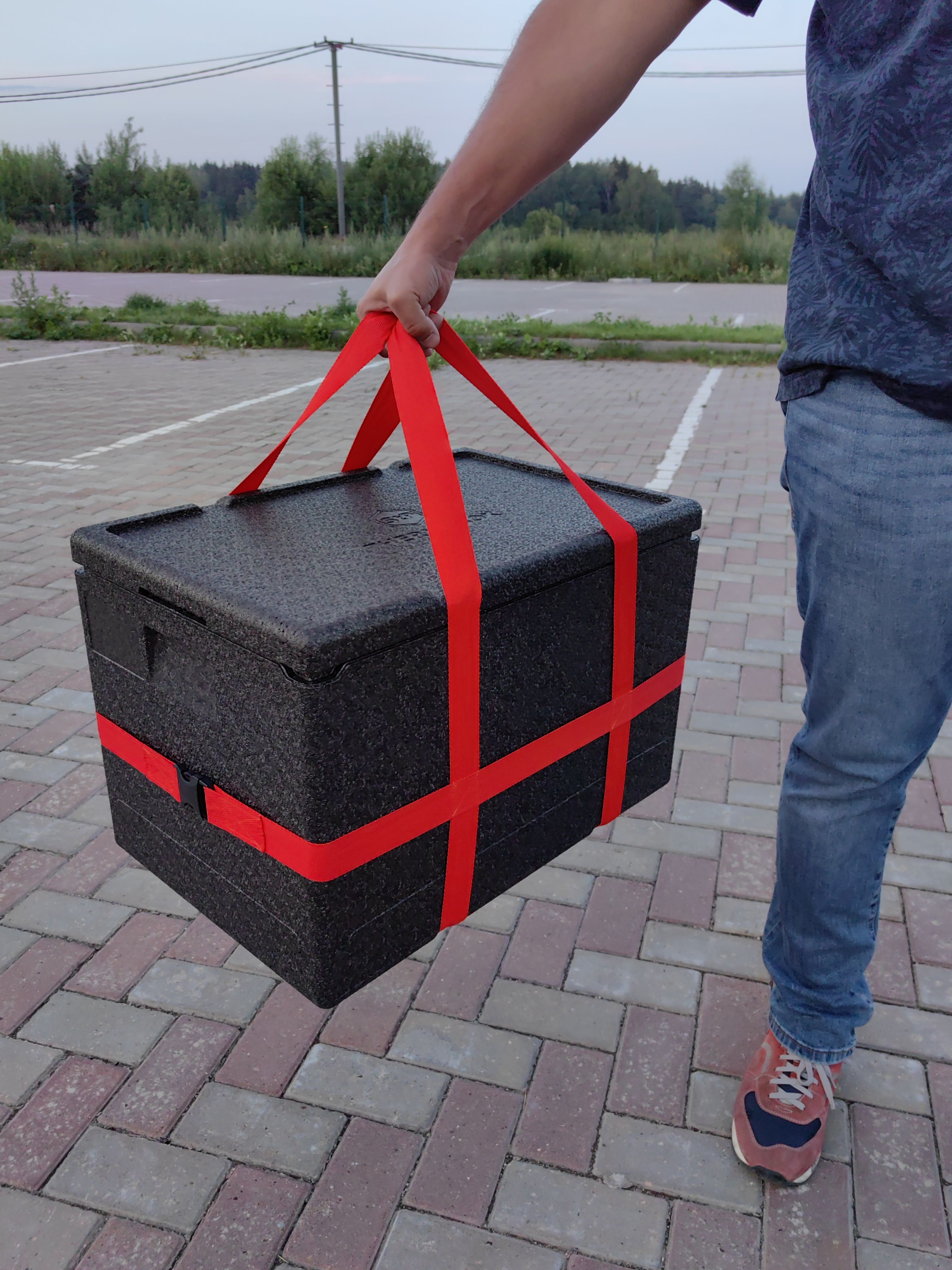 Термоконтейнер Termoboxru, черный, держит температуру 24 ч - купить по ...