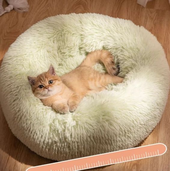 Палаткадляживотных