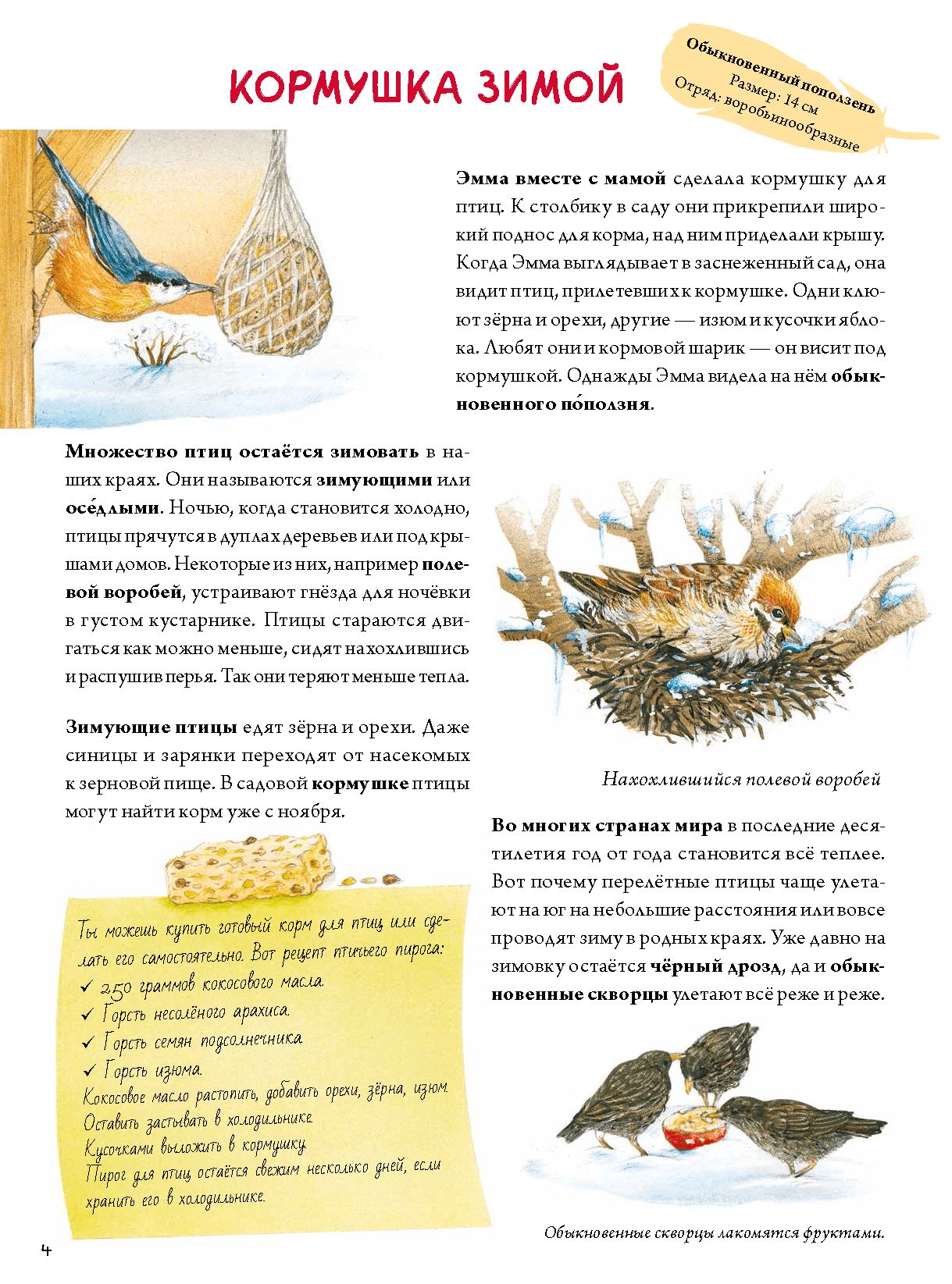 Книга о птицах. BIObook А. Толмачёва | Birds Book. BIObook - Ozon image 5