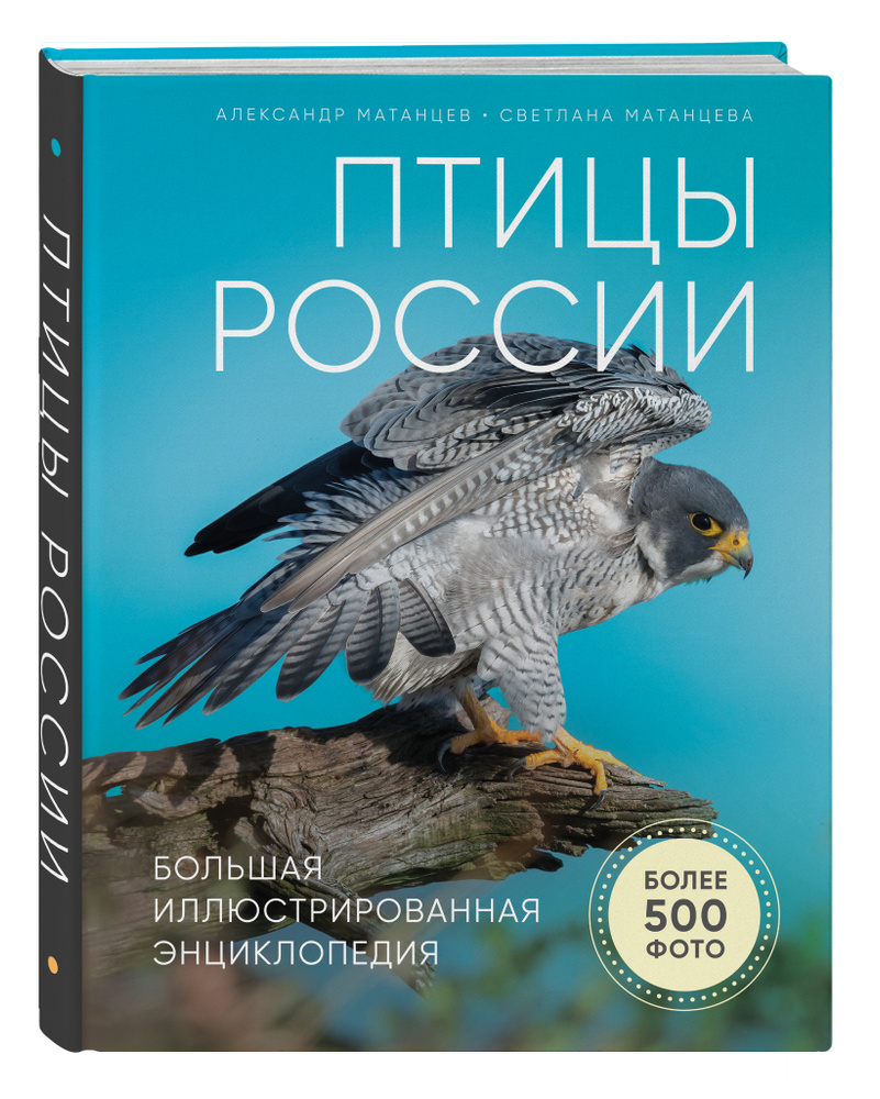 Птицы России Большая иллюстрированная энциклопедия. | Матанцев Александр  Николаевич - купить с доставкой по выгодным ценам в интернет-магазине OZON  (163454163)