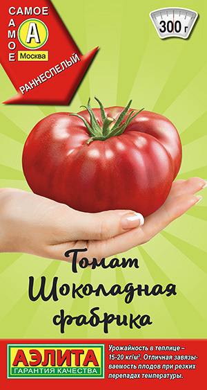 Томат Шоколадная фабрика ранний мегаурожайный до 20кг с метра  #1