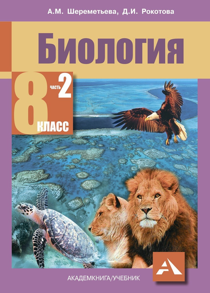 Учебное пособие Академкнига/Учебник Шереметьева А.М., Рокотова Д.И ...