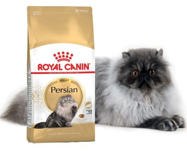 Корм Royal Canin PERSIAN Специальное питание для кошек персидской породы, а также для кошек экзотической #1