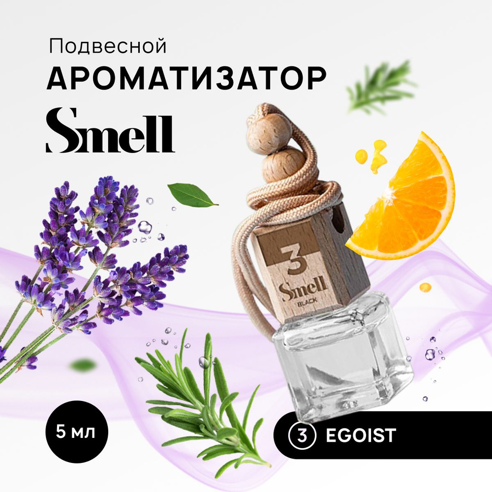 Ароматизатор для автомобиля BLACK SMELL EGOIST - Эгоист, подвесной на  зеркало в машину. - купить с доставкой по выгодным ценам в  интернет-магазине OZON (1138253515)