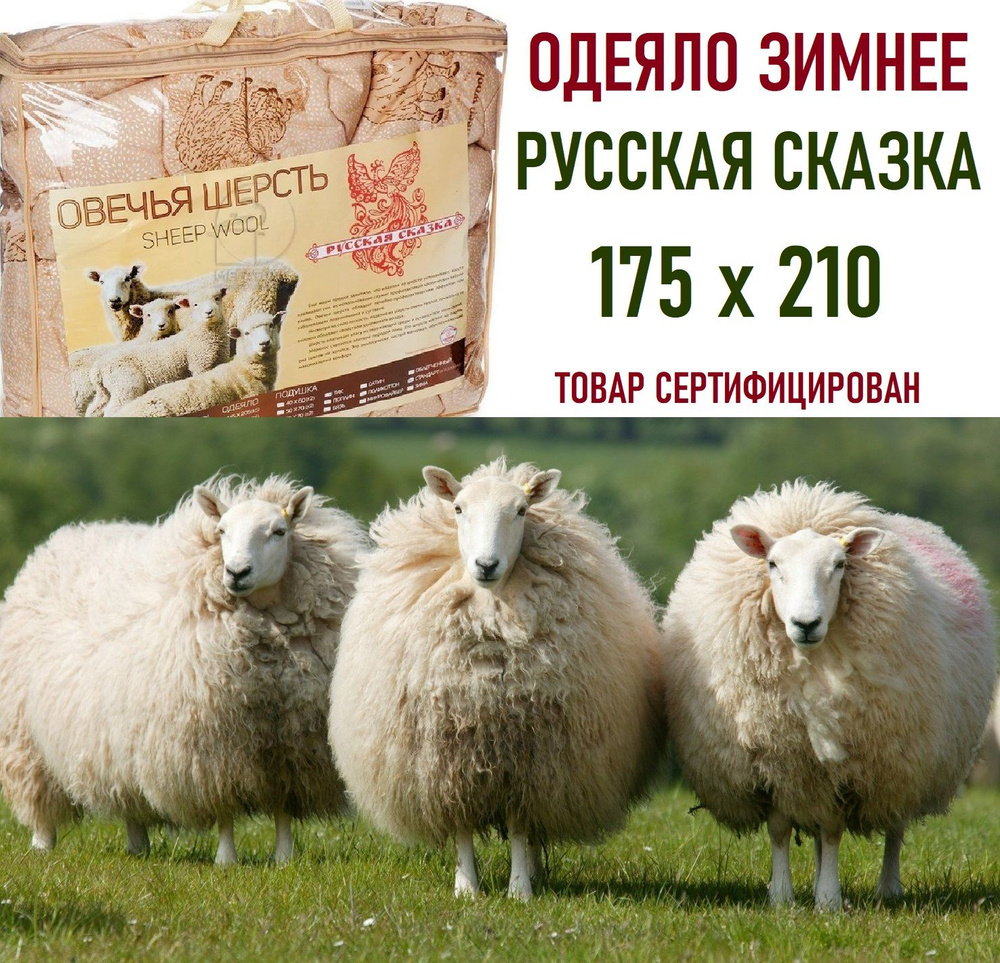 Ивановский текстиль Одеяло Двуспальный 175x210 см, Зимнее, с наполнителем Овечья шерсть  #1