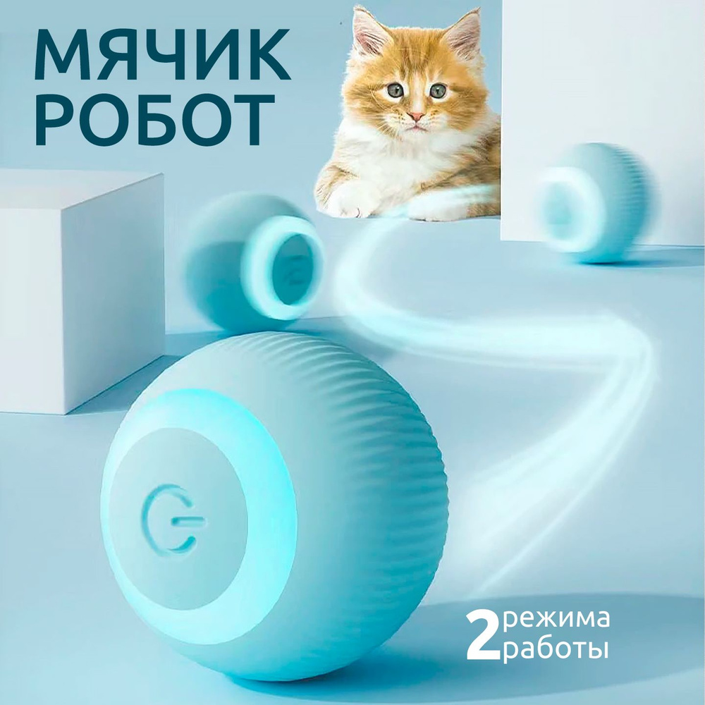 Sphero mini cats online