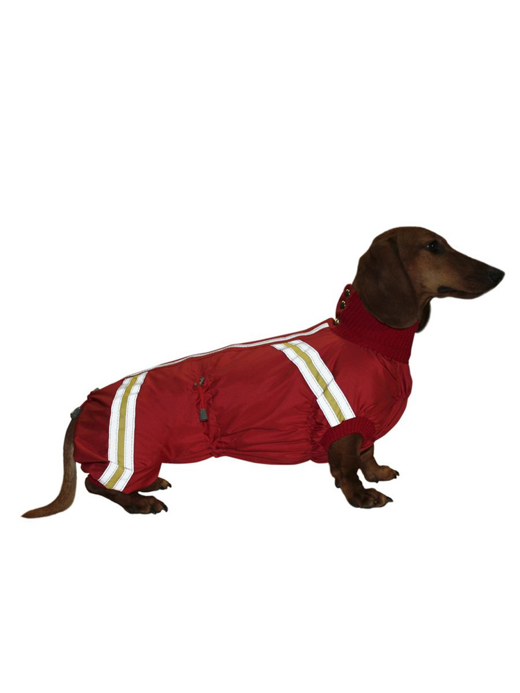 Комбинезон для таксы девочки зимний утепленный, модель Спорт р.40, одежда  для собак КУЗеР - мода - купить с доставкой по выгодным ценам в  интернет-магазине OZON (768009326)